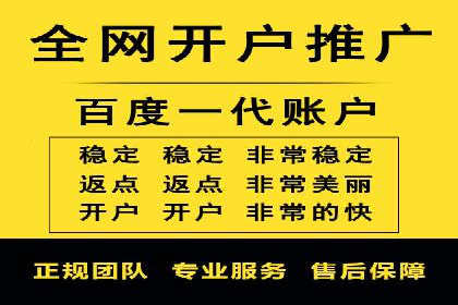 百度推广返点策略：案例解析与优化
